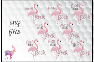 Why Designers and Educators Are Turning to Themed Visual Assets Like the Flamingo Class Flock